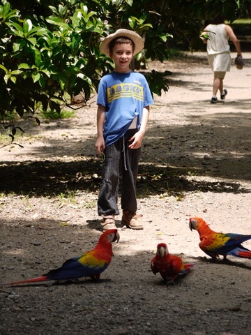 el meu grant viatge per america del sud