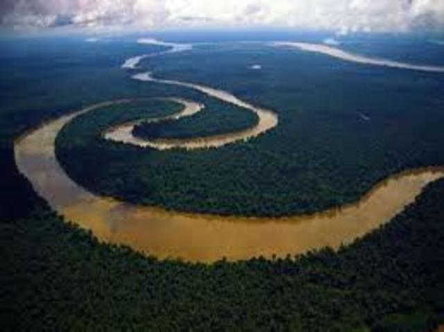 La llei de la selva mana per la Amazonia
