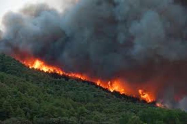 " Vam tindre les flames a centímetres"
