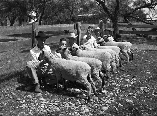 A Segregation-Free USA