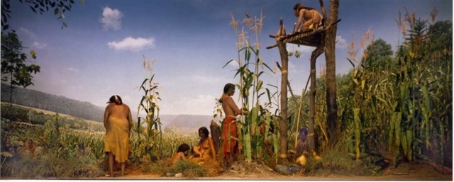 Amerindians