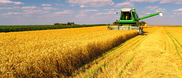 Liberalism and Capitalism