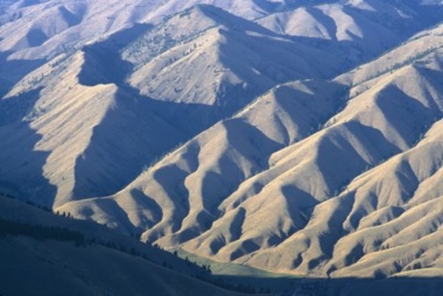 A spot where a plant or tree profoundly affected the expedition
