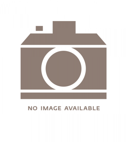 Dallas Museum of Art | Standing power figure (nkisi nkondi)