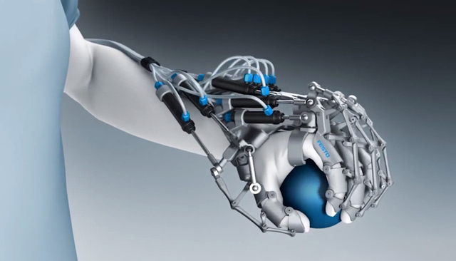 Premier Exosquelettes