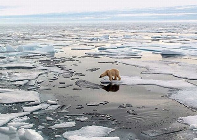 No more arctic ice