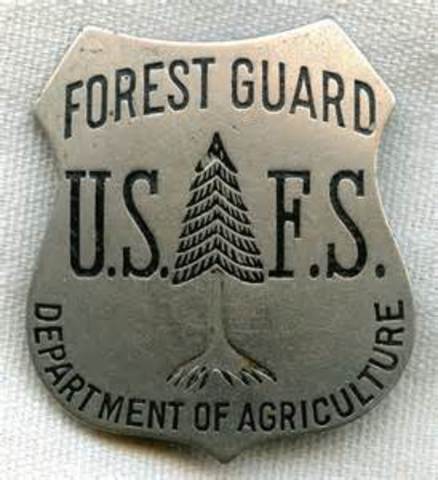First Us Forest Service