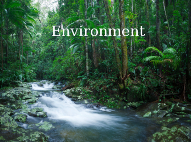 A stable environment