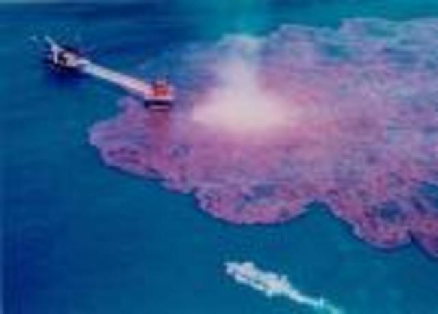 Gulf Oil Spill