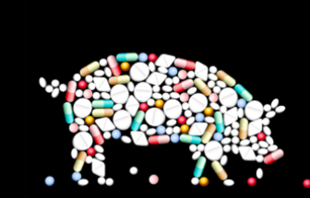 Health problems and antibiotics - effects on humans
