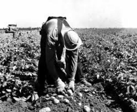 Agriculture benefits the economy