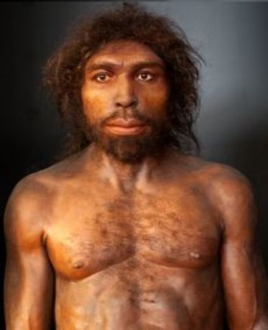 Homo Rodhesiensis   Hace 200.000 AÑOS