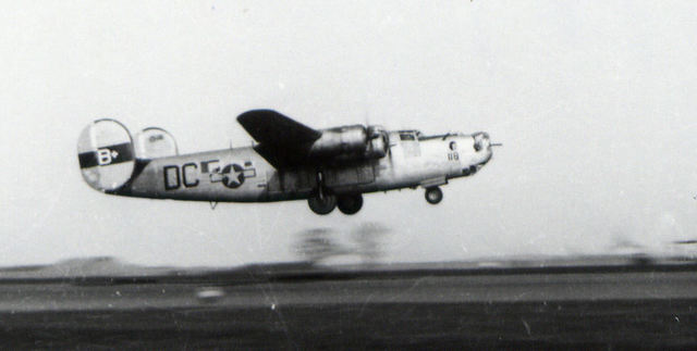 Lofty comes back from the flight