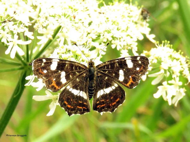 Uitstap naar de grens met Duitsland