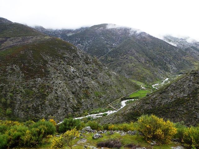 Se acercan los franceses.