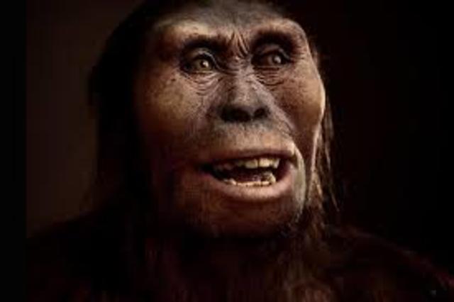 el descubrimiento de lucy