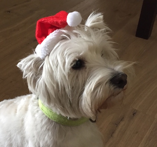 Adios agia adios reyes