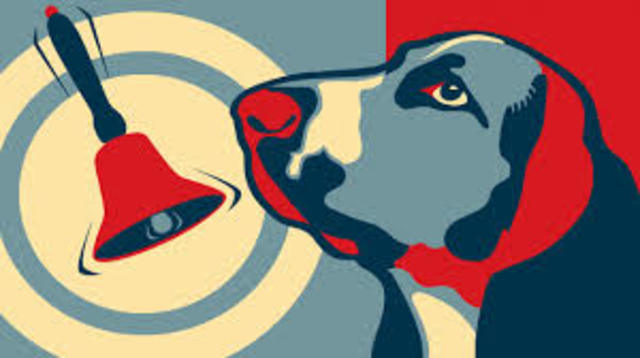 actualidad del conductismo