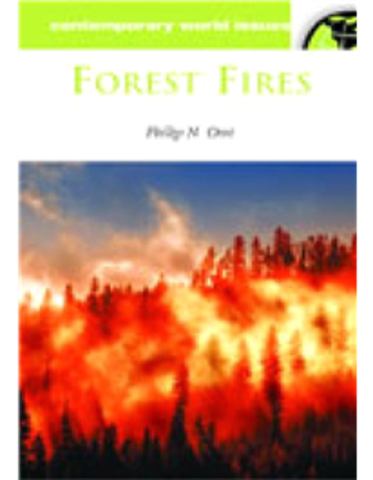 15 Forest Fires