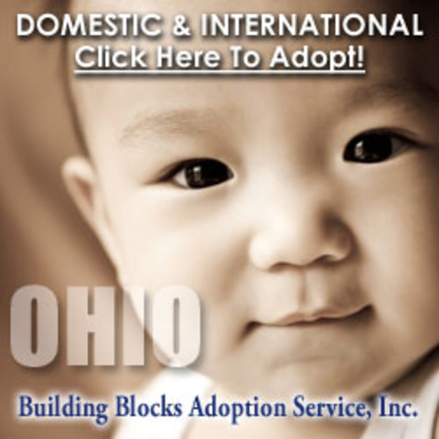 Domestic & International