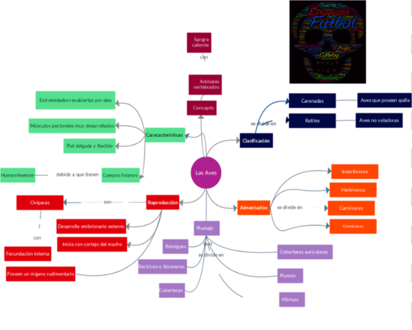 Entrega de el Mapa de Conceptos