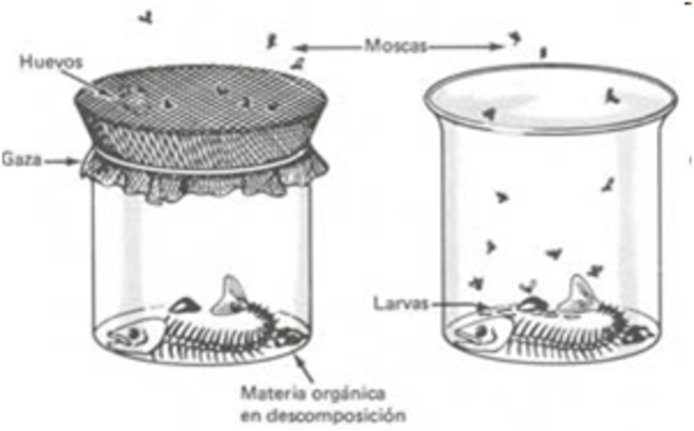 Generación espontánea