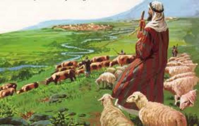 Origem da Contabilidade