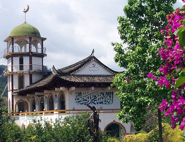 The Expansion of Islam