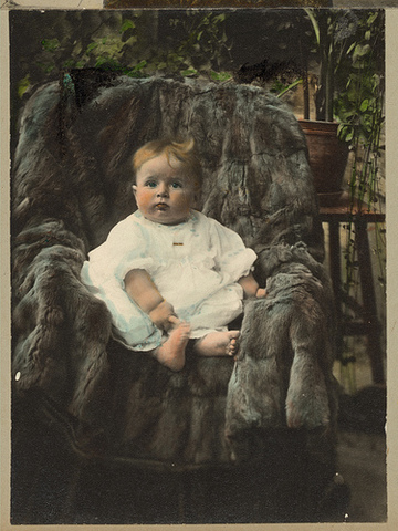 James Cook was born.