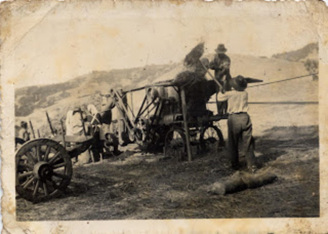 LA REVOLUCIÓN AGRÍCOLA.