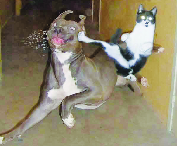 Harpo wants Sophia to mind him