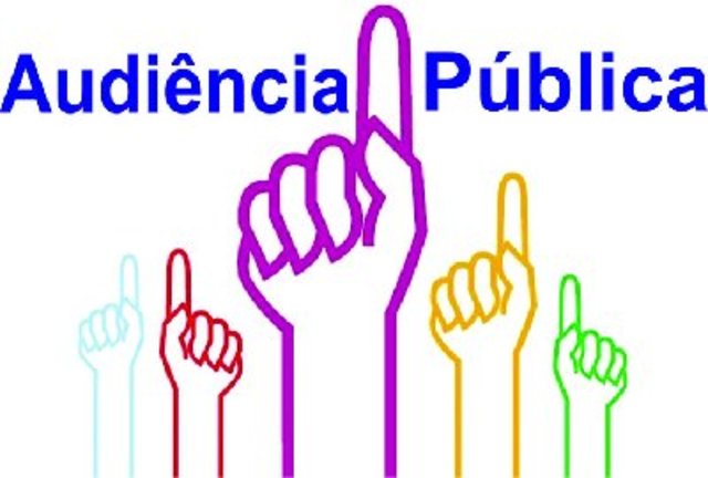 El TDLC realiza la audiencia pública.