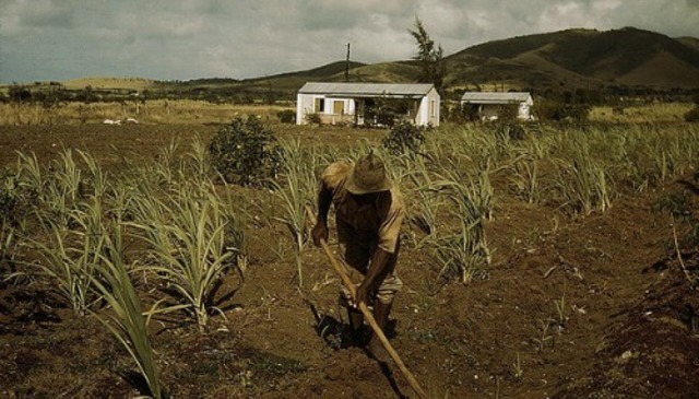 Aumento de la producción agrícola española