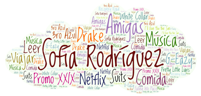 Word Cloud Tagul - Sello Personal