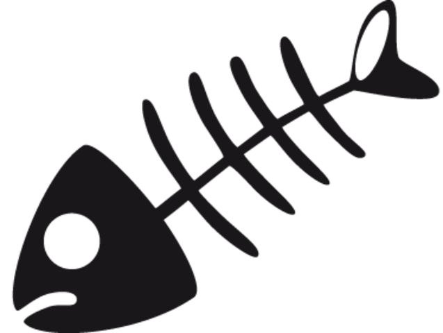 Veterana en las broncas