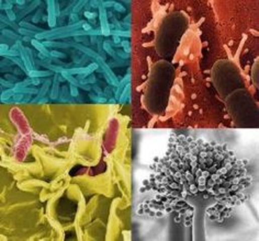 La microbiologia es aceptada como ciencia