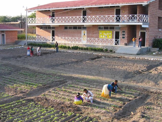 talleres que ofrece la institucion