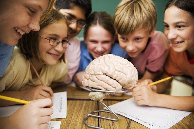 Aprendizaje Activo en la Educación Presencial y No Presencial
