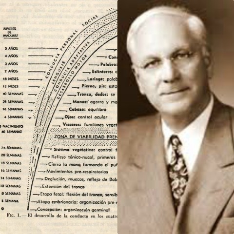 Creacion de un instituto para estudiar a los niños.