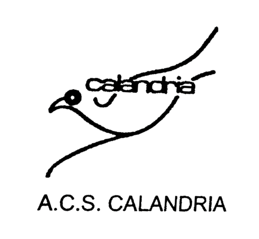 Las radionovelas como fuente de expresión y aprendizaje