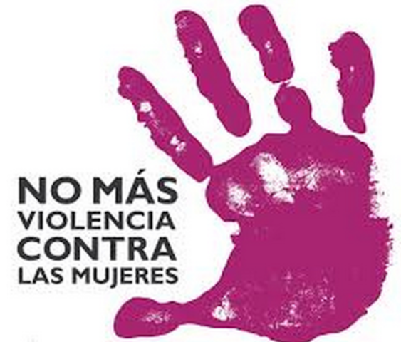 Ley General de Acceso de las Mujeres a una Vida Libre de Violencia. Derecho Social