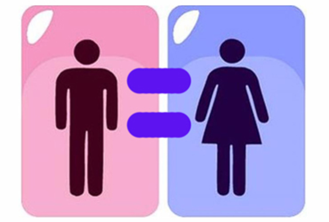 Ley General para la Igualdad entre Mujeres y Hombres