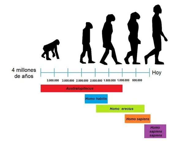 LOS PRIMERO HUMANOS