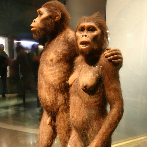 El origen del hombre