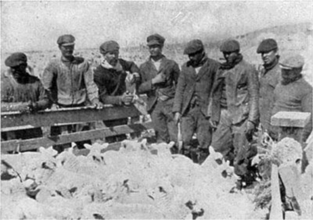 Protesta Social en el Sur