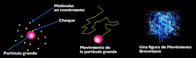 El movimiento Browiniano