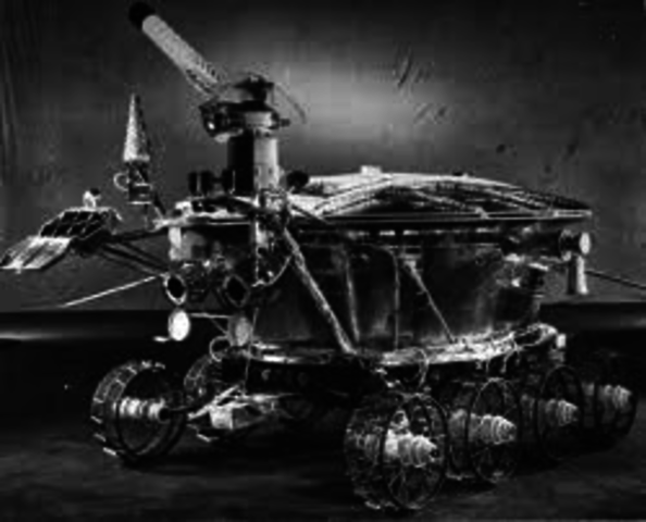 Tortue cybernétique