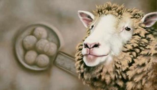 Clonación Animal en Escocia