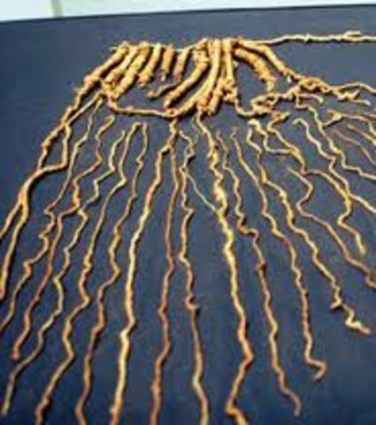 Kolonaurreko zibilizazioak