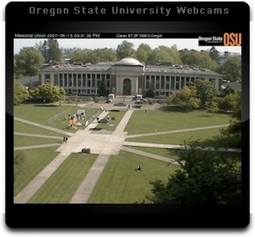 Graduated from university